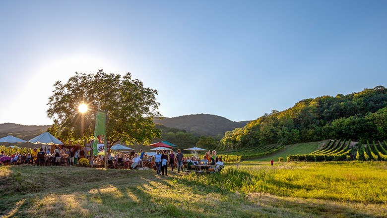 Blick auf die Genussmeile, © Wienerwald Tourismus