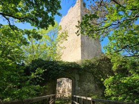 Burgruine Rauheneck, © Baden Tourismus