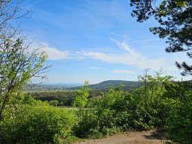 Ausblick Harzberg, © Baden Tourismus