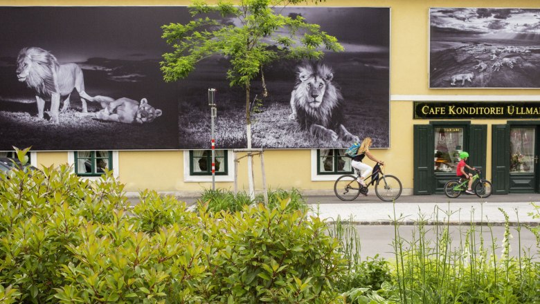 Festival La Gacilly - Baden Photo, © WilliamAlbertAllard