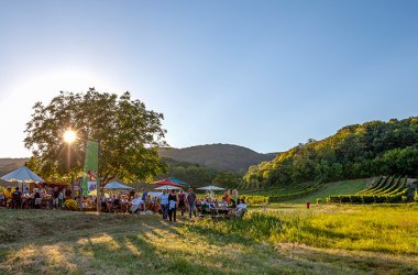 Blick auf die Genussmeile, © Wienerwald Tourismus