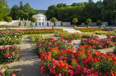 Badener Rosarium 03, © Rainer Mirau